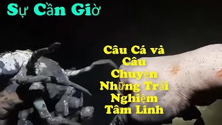 Sự Cần Giờ | Câu Cá và Câu Chuyện: Những Trải Nghiệm Tâm Linh