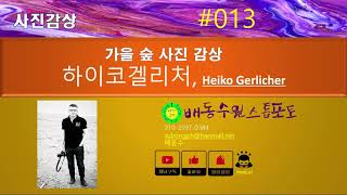 [사진감상 #013]가을 숲 사진 감상 하이코겔리처, Heiko Gerlicher