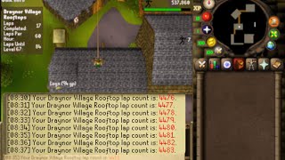 This New AI Agility Script for OSRS is INSANE. 0% ban rate.