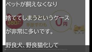 「命が軽く扱われるのでは」ねこホーダイに批判の声殺到！