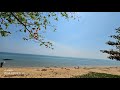 The Beauty of Pandan Beach, Lundu Tourist Attractions.