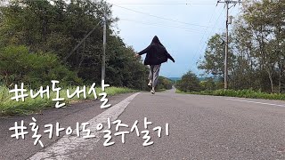 일본 도쿄 직장인의 홋카이도 산장 일주살기 브이로그 🏠