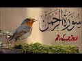 SURAH RAHMAN TARJUMA KE SATH QARI AL SHAIKH ABDUL BASIT ABDUL SAMAD | Ep 022