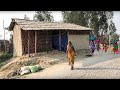 Living A Natural Life Of Rural Village In Terai Region In Nepal || Countryside Daily Life