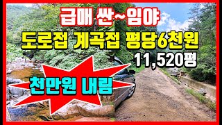 [급매] 긴말하지 않겠습니다. 1,100만원내린 도로 계곡접한 임야매매 토지매매 영덕부동산 창수면 인천리 땅매매 #착한부동산tv