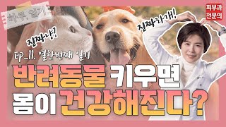 반려동물 키우면 건강해진다? 대체 어떻게?! | 반려동물이 주는 건강 효과!!