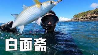 遇渾水退回火山口潛水，無奈只能抓幾條魚煮湯，簡簡吃個海鮮【探海漁人】