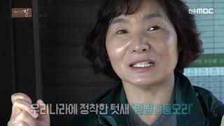 자연의 소리를 따라 서부산 여행