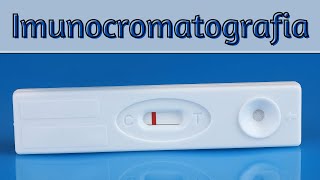 Imunocromatografia (Teste Rápido)