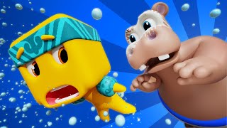 The Hippo Dance Shake, Shake, Shake! | D Billions Kids Songs