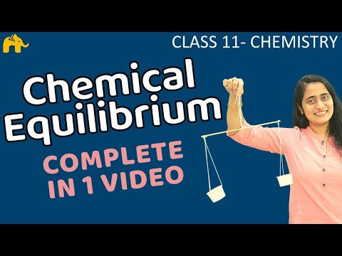 Equilibrium Chemistry Class 11 | Chapter 7 Chemical Balance One Shot | CBSE NEET JEE