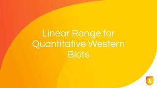 What Is Dynamic Range? | Linear Range for Quantitative Western Blots