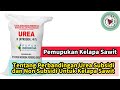 Tentang Perbandingan Urea Subsidi dan Non Subsidi Untuk Kelapa Sawit