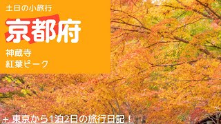 神蔵寺、今日の紅葉の様子11/16　Japanese autumn leaves