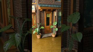 Making dollhouse accessories 【Monstera】100均樹脂粘土で作る　#shorts  #dollhouse  #diy #miniature