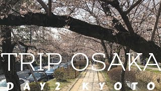 [大阪關西] 一分鐘帶你遊京都1/2  (Day 2) ｜Trip Osaka| SJ5000 | 京都｜KYOTO | QUIK