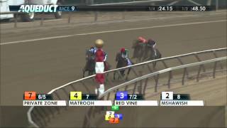 Tonalist - 2015 Cigar Mile Handicap