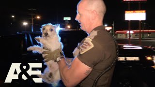 Live PD: Puppy Pals (Season 3) | A\u0026E