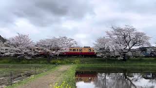 キハ40 小湊鐵道 飯給駅 Kominato Railway