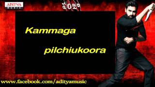 Veyira Chey Veyira Full Song Lyrical (Telugu) | Panjaa Songs | Pawan Kalyan | Aditya Music