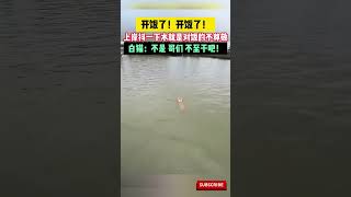 猫咪听到开饭了居然...白猫：哥们不至于吧 #萌宠 #搞笑 #funny