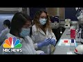 Meet Three Latina Scientists Leading The Way In Washington’s Covid-19 Research | NBC News NOW