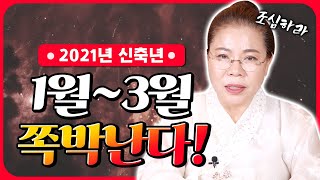 2021년 1월 2월 3월 조심해야하는 띠와 나이🎃 돼지띠 원숭이띠 개띠 닭띠 토끼띠 쥐띠 범띠 소띠 용띠 양띠 말띠 뱀띠 중 어느띠 ?