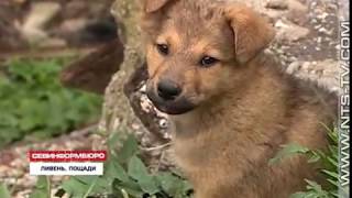 11.05.2018 В Севастополе из-за сильных дождей затопило Делагардову балку