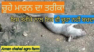 #rat kill #ਚੂਹੇ ਮਾਰਨ ਦਾ ਤਰੀਕਾ