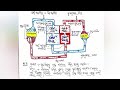 ମଣିଷ ଶରୀରରେ ରକ୍ତ ସଞ୍ଚାଳନ human circulatory system with scheme class 10th knowledgemirror