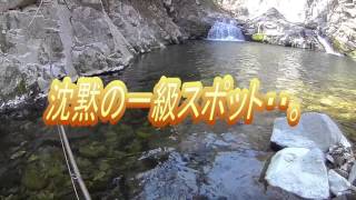 敗北！本山博之さんと激タフ渓流でテスト釣行！（手ブレに注意）