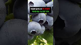 생블루베리 킬러인데 가장 신선하고 맛있는 집을 드디어 찾았다네!