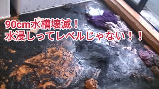 ガラスが吹きとんだ！水槽崩壊直後の映像