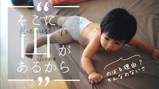 【そこに山があるから】成長の階段駆け上がり中✨ベッドやソファーによじのぼる赤ちゃん