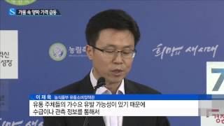 가뭄 속 양파 가격 급등...'경계경보' 발령 / YTN 사이언스