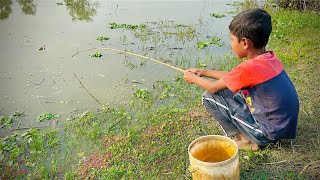 Best Fishing Video ✅Il catching koi fish by rod ~ Traditional hook fishing in the village 🥰🥰