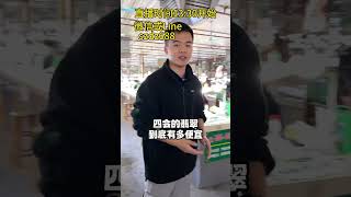 准备去四会天光墟淘翡翠挂件的小伙伴！把这份保姆级的攻略收藏好（1）#翡翠 #翡翠直播 #翡翠手镯 #翡翠手鐲