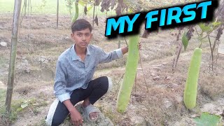 MY FIRST VLOG ❤ || MY FIRST VIDEO ON YOUTUBE  ||@RKVlogs.riyajulkhalashi