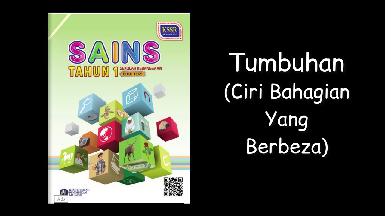 Ciri Bahagian Yang Berbeza (Unit 6 : Tumbuhan) Sains Tahun 1 - YouTube