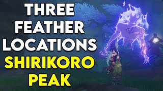 A Particularly Particular Author - Shirikoro Peak Perch and Feathers  - Genshin Impact