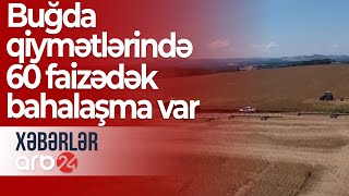 Buğda qiymətləri son iki ayda ən yüksək səviyyədədir: 60 faizədək bahalaşma var – Xəbərlər