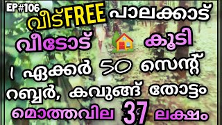 1ഏക്കർ 50 സെന്റ് വീടോട് കൂടി മൊത്തവില 37 ലക്ഷം 💥|lowprice |lowbudget |realestate |@homelandplots