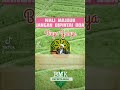 wali majdub #shorts #buyaarrazy #arrazyhasyim #gurusekumpul #buyayahya wali allah