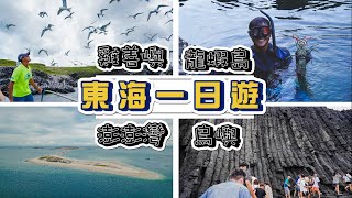 2020澎湖這樣玩!!! 東海一日遊 - 銀海遊艇 |「雞善嶼」餵食上百隻海鳥 |「鳥嶼」觀賞黑色玄武岩 | 無人島「澎澎灣」玩SUP、透明獨木舟 | 沉在海底的「龍蝦島」抓龍蝦 | 澎湖之旅EP.3