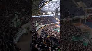 Ultras unterstützen die Amateure !! 🖤🤍💚 / Hannover 96 vs 1.Fc Heidenheim  / Knallerfreak1  //