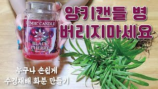 양키캔들 병 버리지 마세요/ 누구나 손쉽게 수경재배 만들기/Recycling Yankee Candles