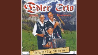 Treu zur Heimat (Radio Mix)