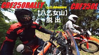 【CRF250RALLY】八乙女山③ 脱出～下山編　山頂付近で道が無くなり藪の中に突入からの脱出　CRF250ラリー   MD47   insta360 one x2