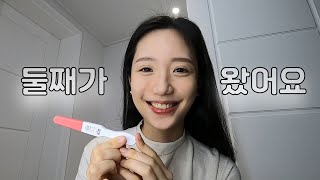 [vlog] 둘째가 찾아왔어요👶🏻 임신 4~6주, 10개월 아기, 볼트 스테이크하우스, 시그니엘 애프터눈티