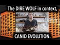 The Dire Wolf In Context Of The Evolution and Diversity of Canidae.